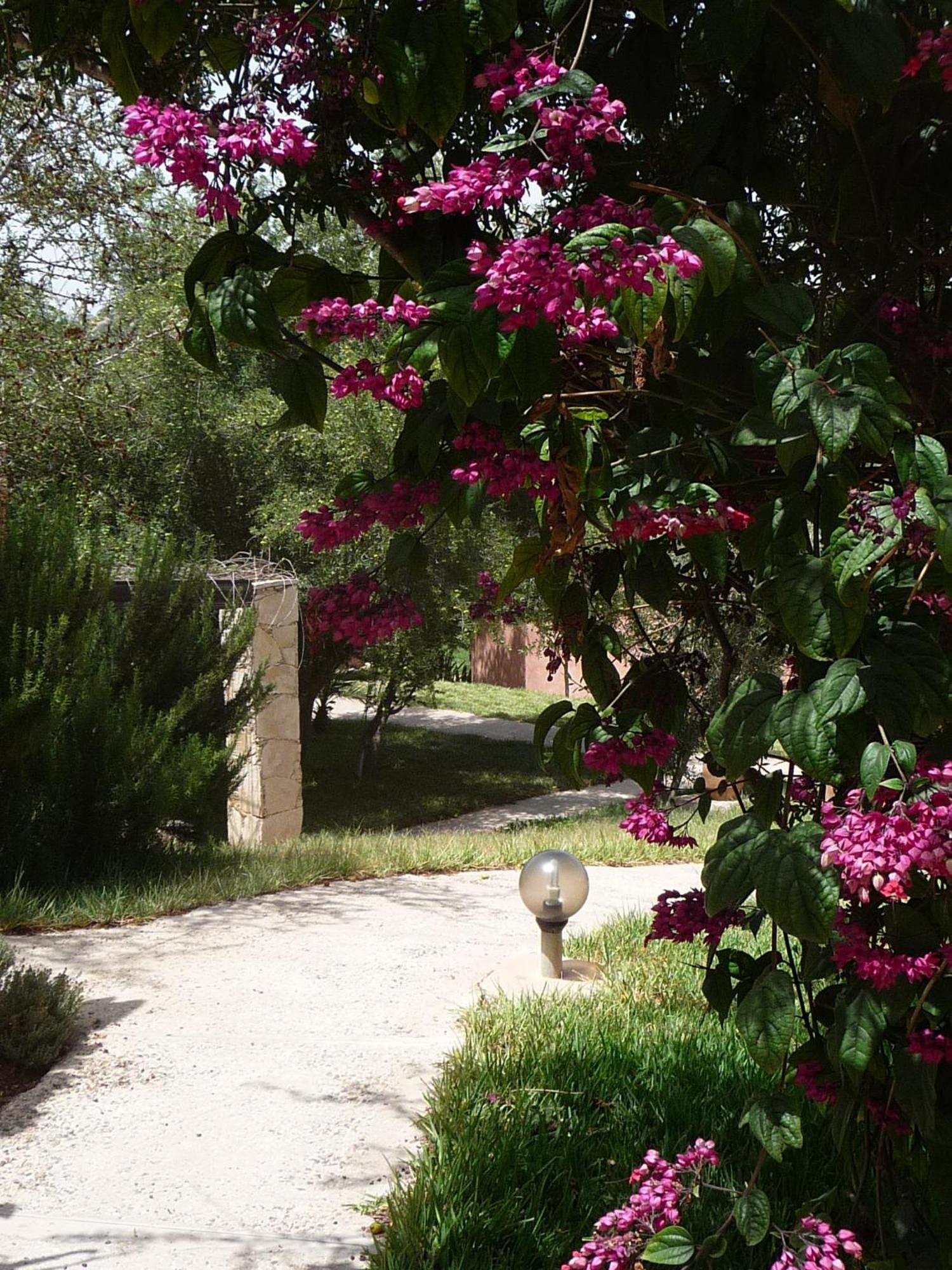 Paradis Nomade Azrarag Bagian luar foto