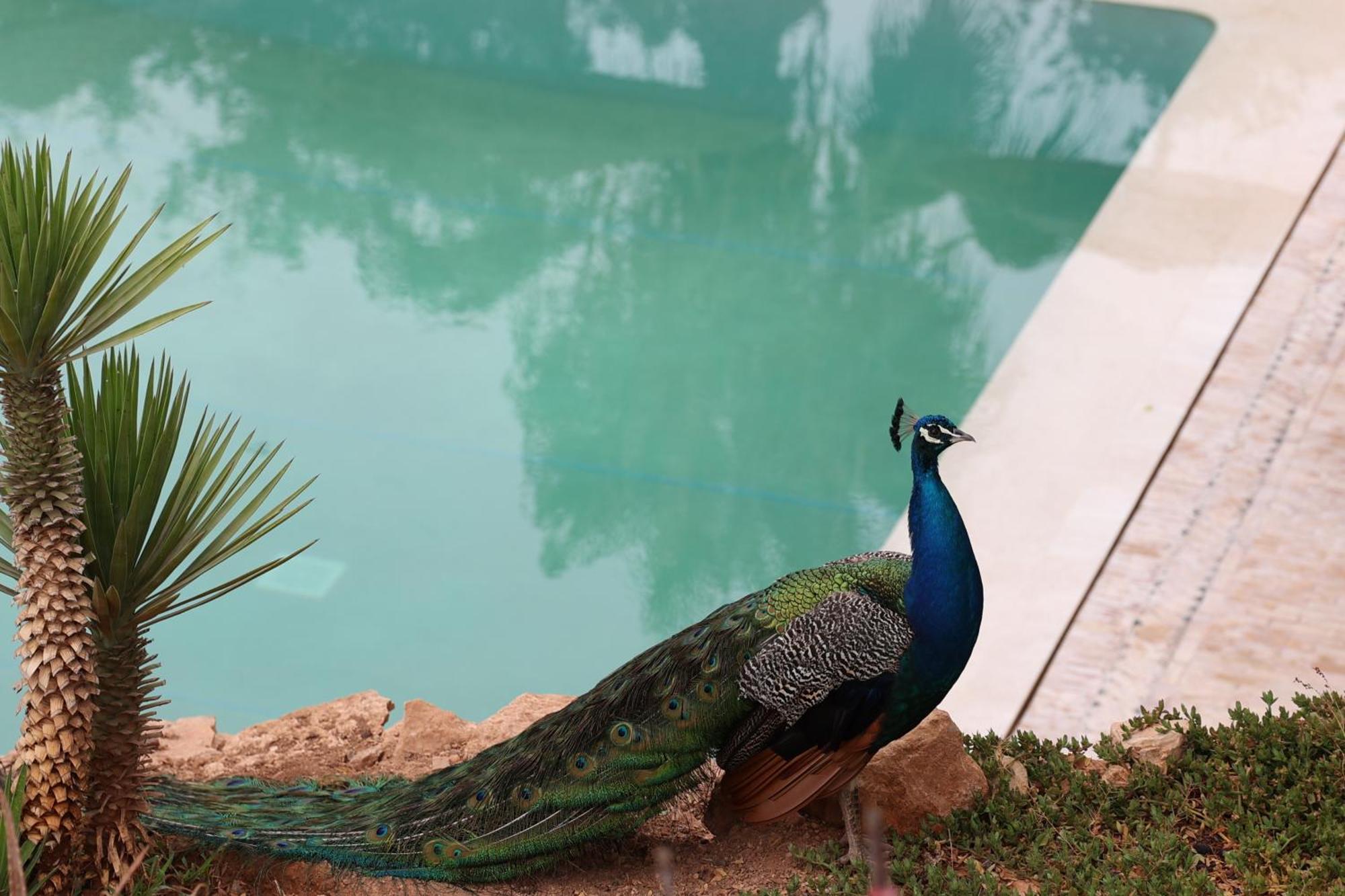 Paradis Nomade Azrarag Bagian luar foto